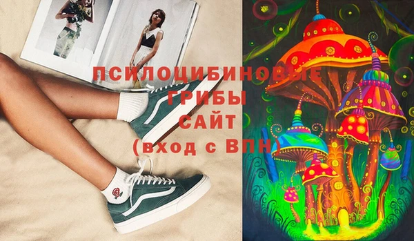 дживик Осинники