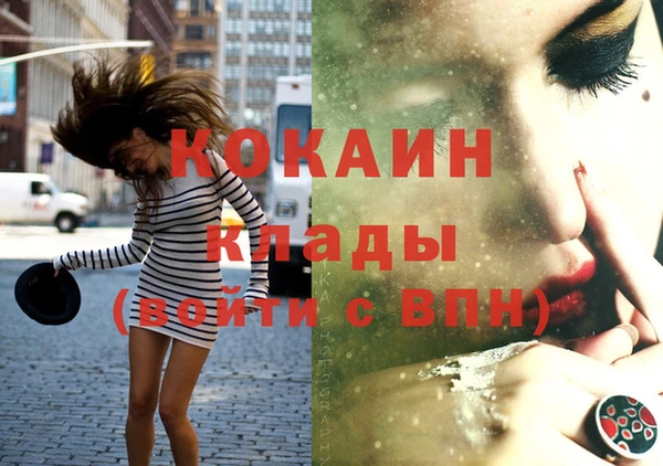дживик Осинники