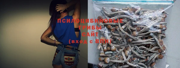 jwh Гвардейск