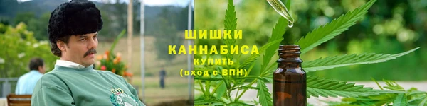 дживик Осинники