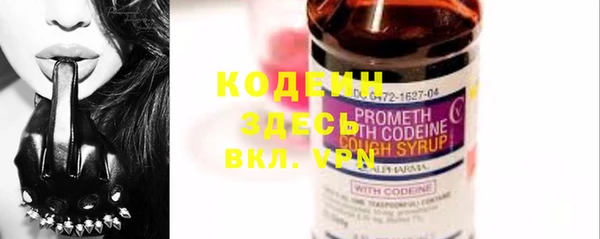 дживик Осинники