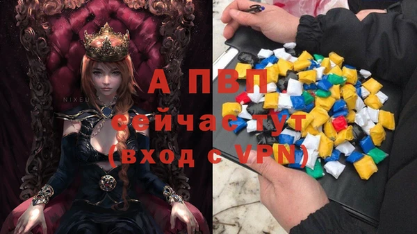 бошки Осташков