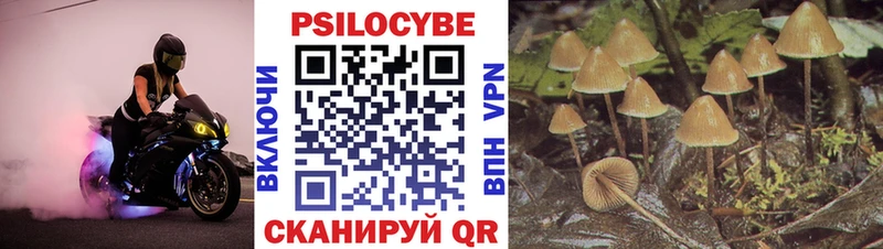 Галлюциногенные грибы Psilocybe  дарнет шоп  Южно-Сухокумск 